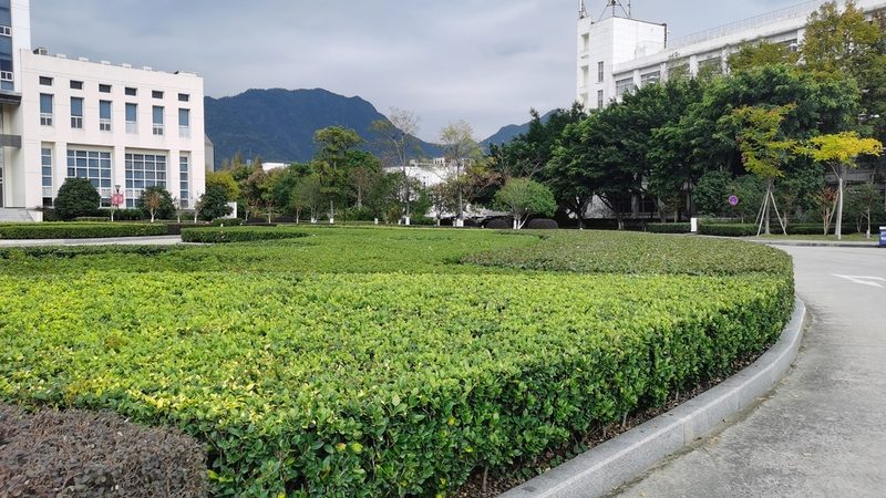 园林公司员工手册编写的核心要素**