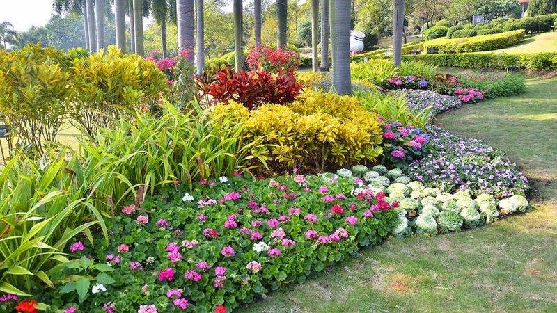 家庭阳台垂直绿化墙：植物选择与养护之道