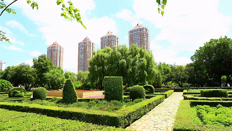 成都运动场草坪铺设尺寸：尺寸与成本的关系深度解析